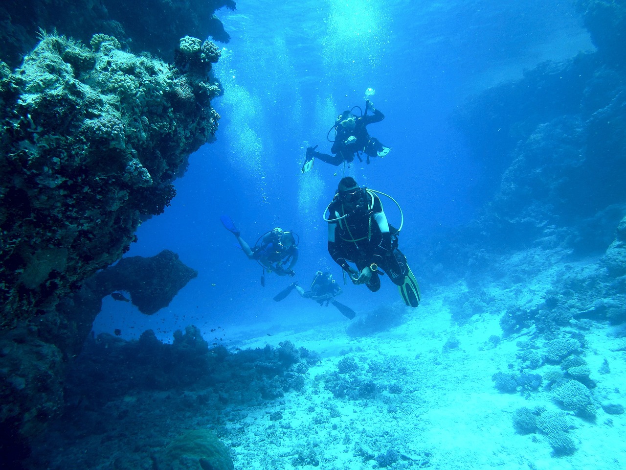 dive, underwater, sea-813028.jpg