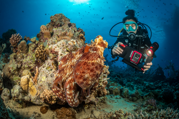 scuba diving taking photo of coral reef using Sealife Sportdiver Ultra UV Case